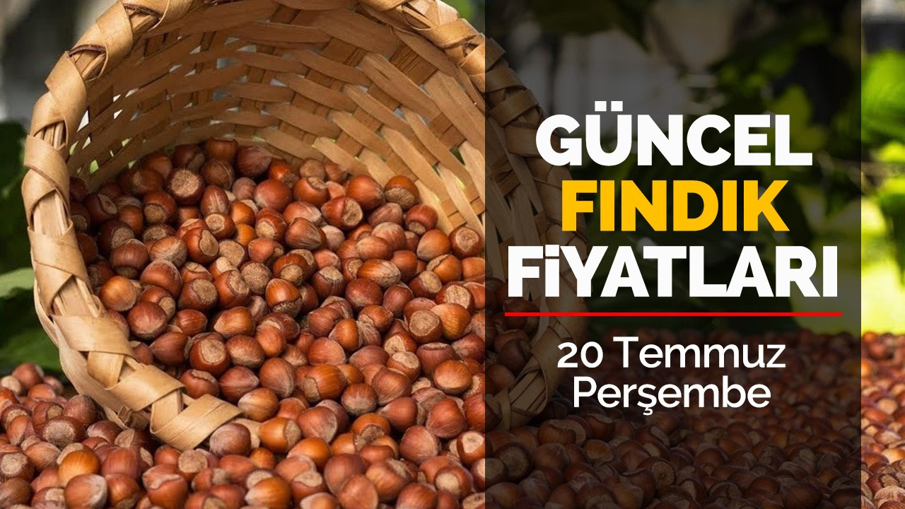 20 Temmuz Perşembe güncel fındık fiyatları