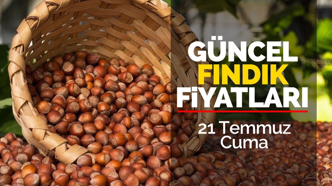 21 Temmuz Cuma güncel fındık fiyatları