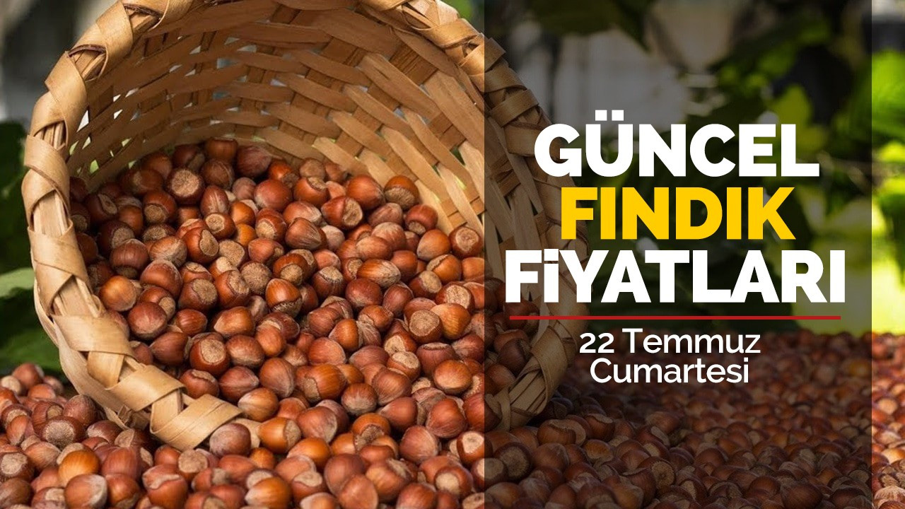 22 Temmuz Cumartesi güncel fındık fiyatları