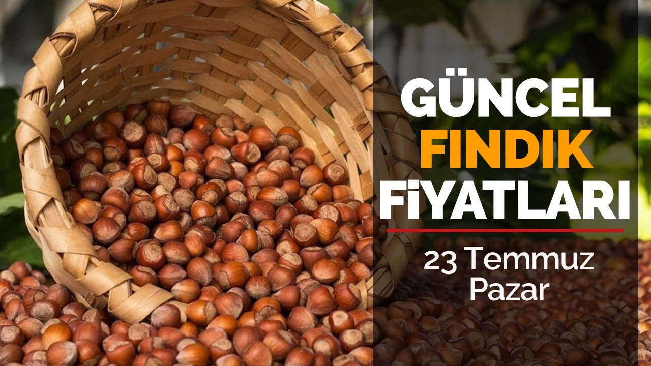 23 Temmuz Pazar Güncel Fındık Fiyatları