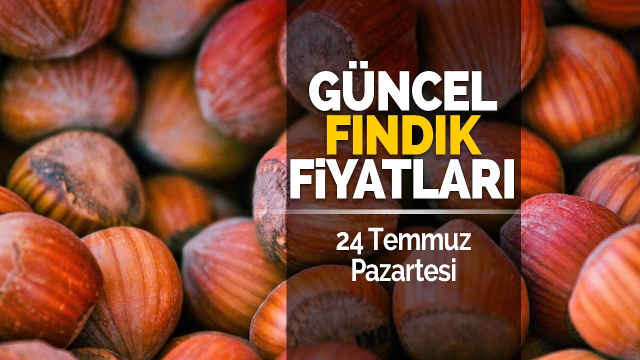 24 Temmuz Pazartesi Güncel Fındık Fiyatları