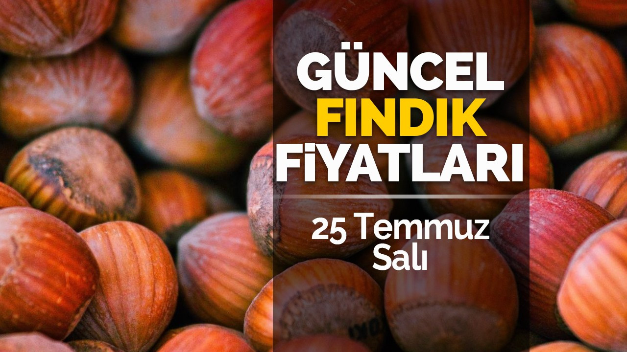 25 Temmuz Salı Güncel Fındık Fiyatları