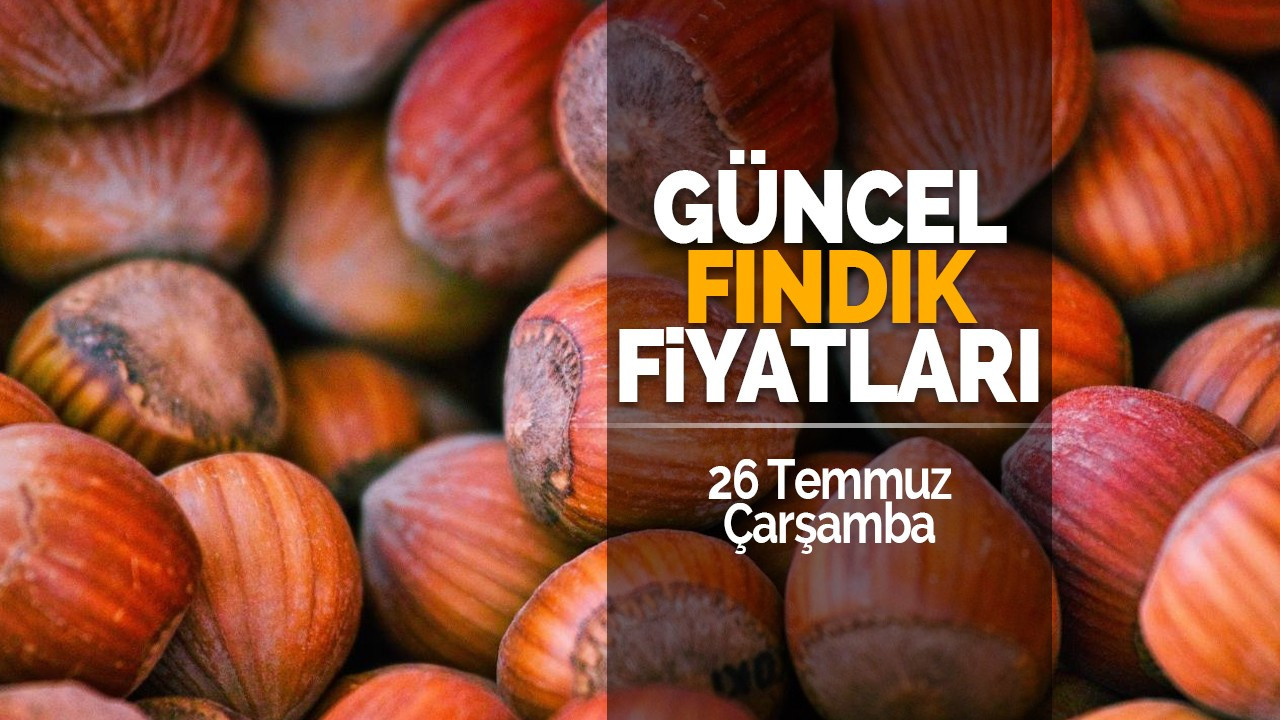 26 Temmuz Çarşamba Güncel Fındık Fiyatları