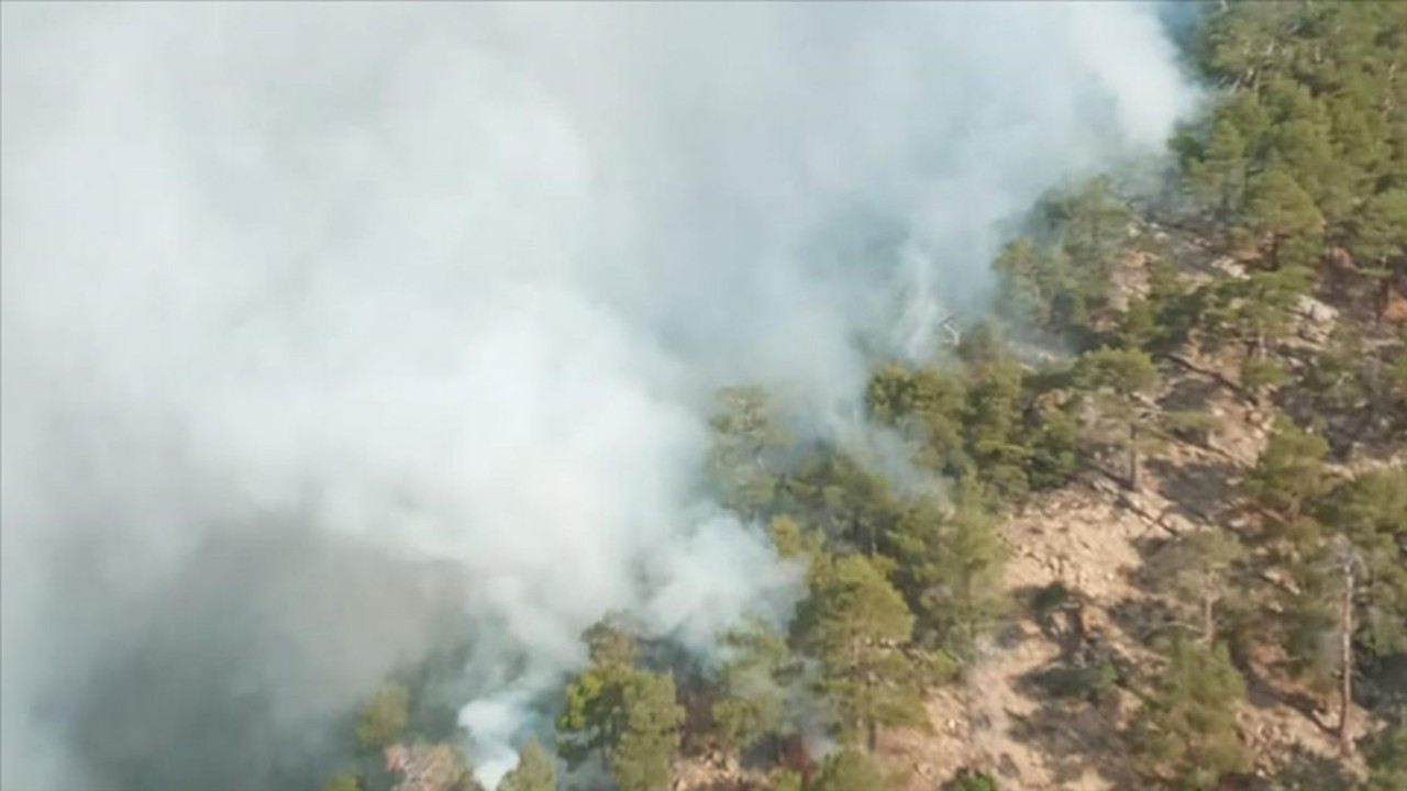 Bolu'da yıldırım düşmesi sonucu çıkan orman yangınına müdahale sürüyor