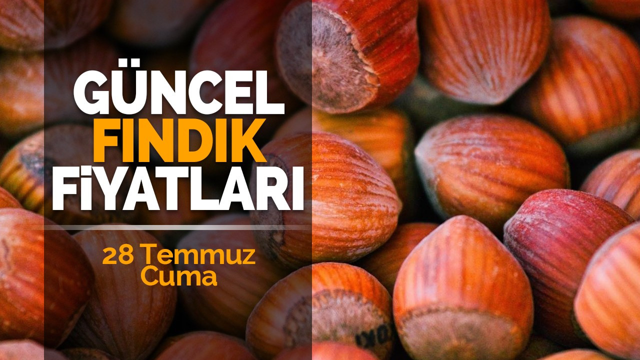 28 Temmuz Cuma Güncel Fındık Fiyatları