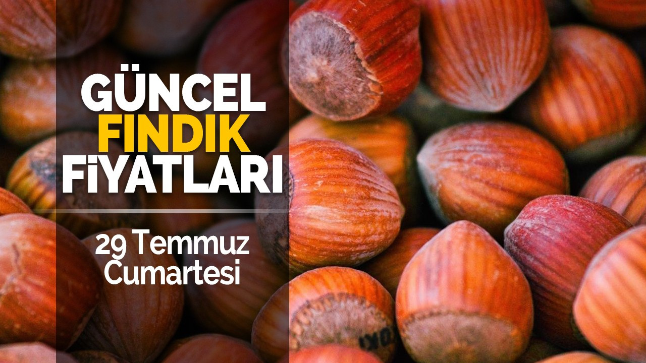 29 Temmuz Cumartesi Güncel Fındık Fiyatları