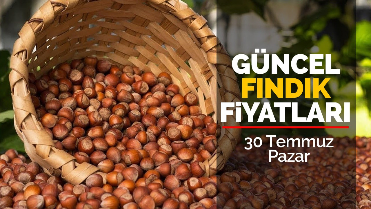 30 Temmuz Pazar Güncel Fındık Fiyatları