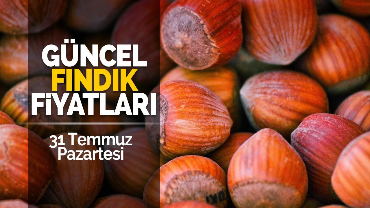 31 Temmuz Pazartesi Güncel Fındık Fiyatları