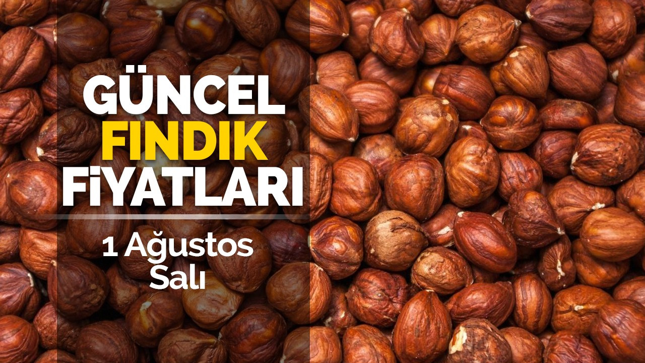 1 Ağustos Salı Güncel Fındık Fiyatları