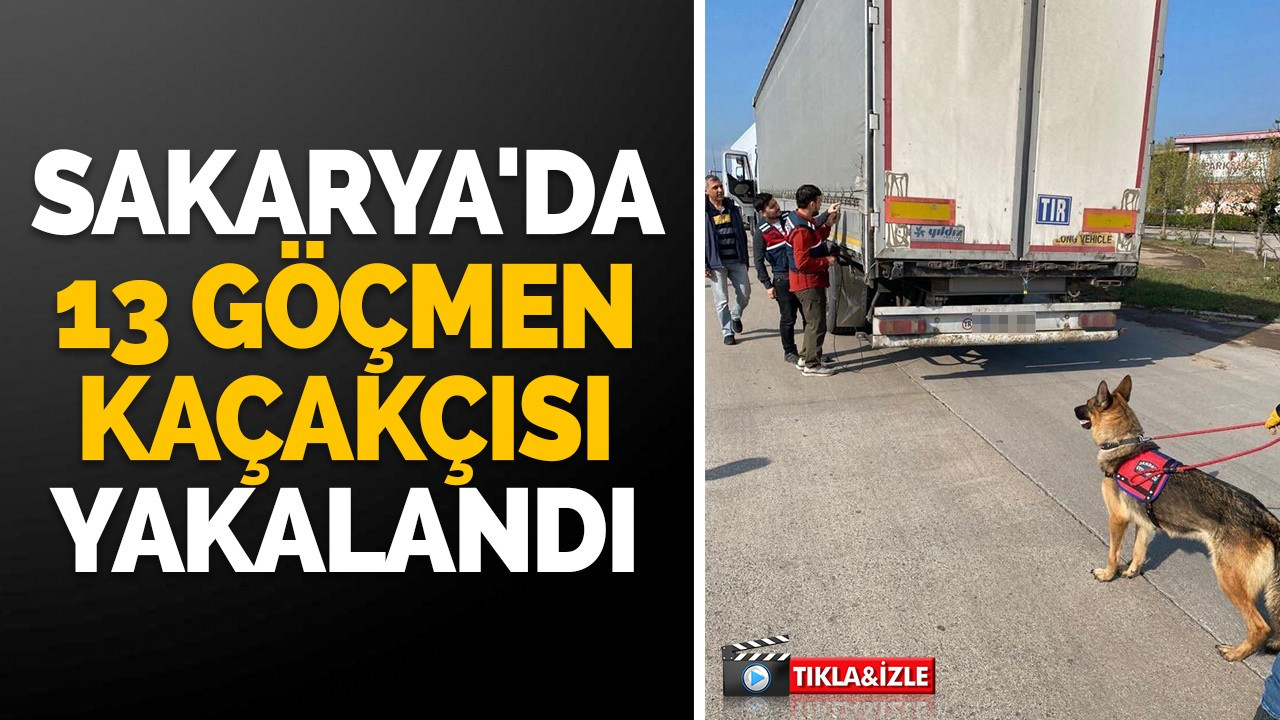 Sakarya'da 13 göçmen kaçakçısı yakalandı