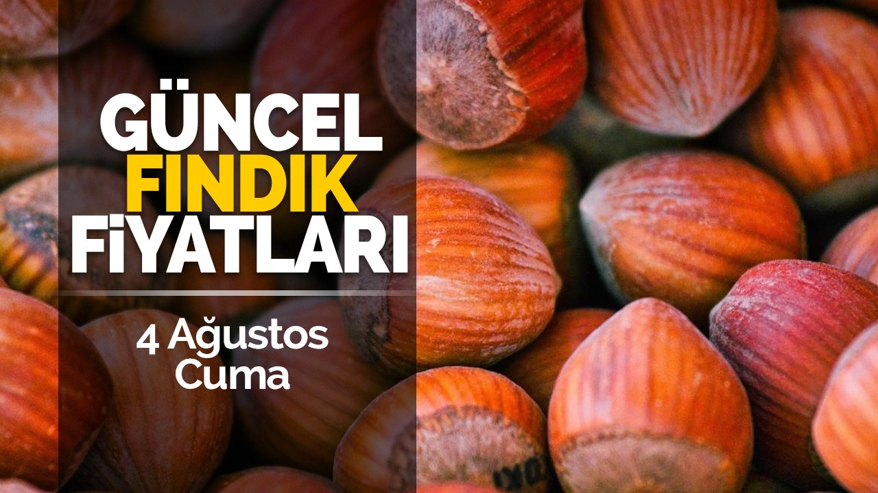 4 Ağustos Cuma Güncel Fındık Fiyatları