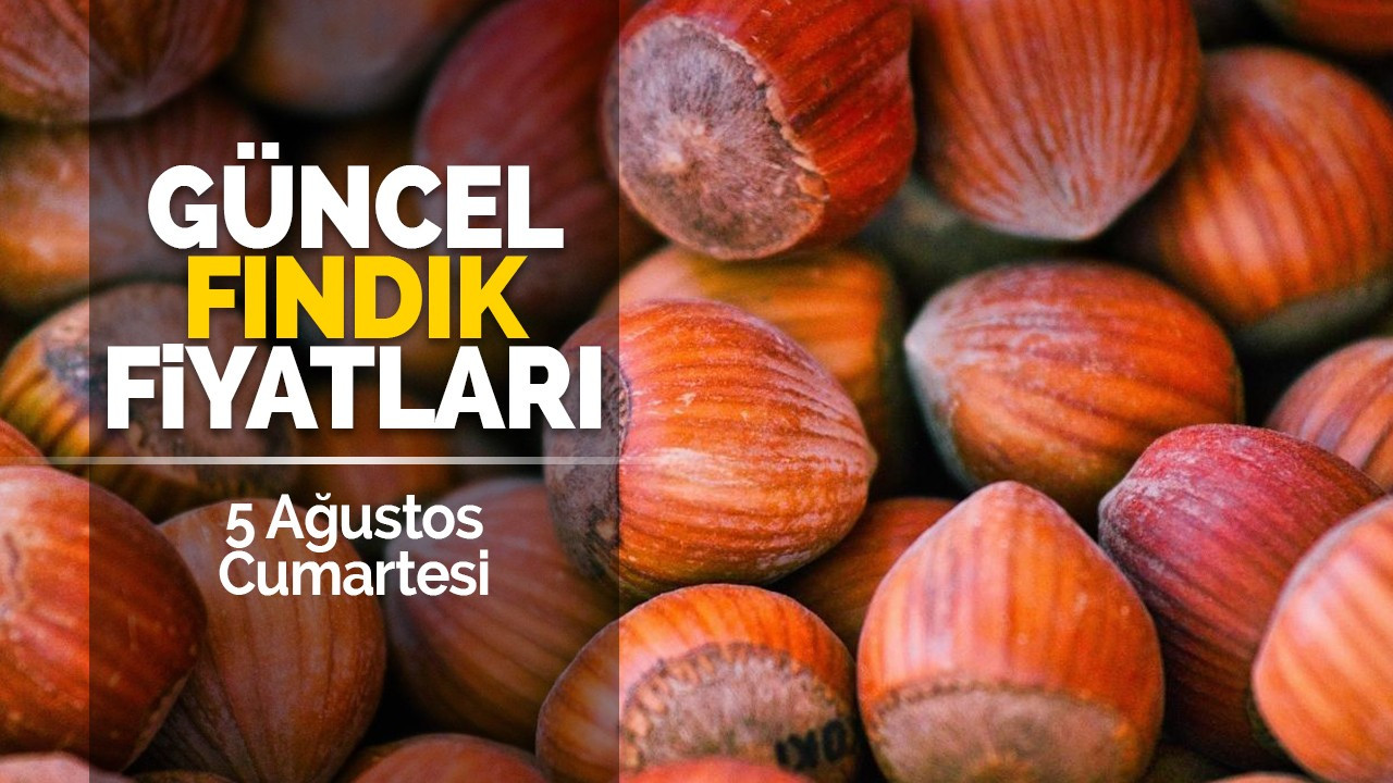 5 Ağustos Cumartesi Güncel Fındık Fiyatları