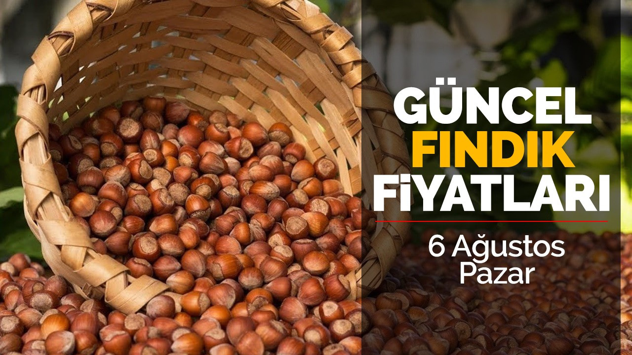 6 Ağustos Pazar Güncel Fındık Fiyatları