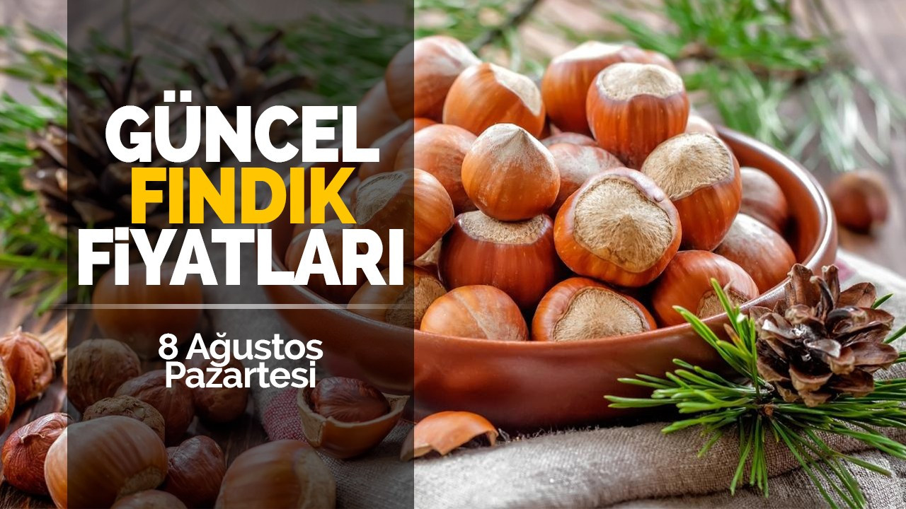 7 Ağustos Pazartesi Güncel Fındık Fiyatları