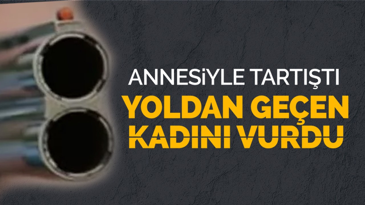 Annesiyle Tartıştı Yoldan Geçen Kadını Vurdu