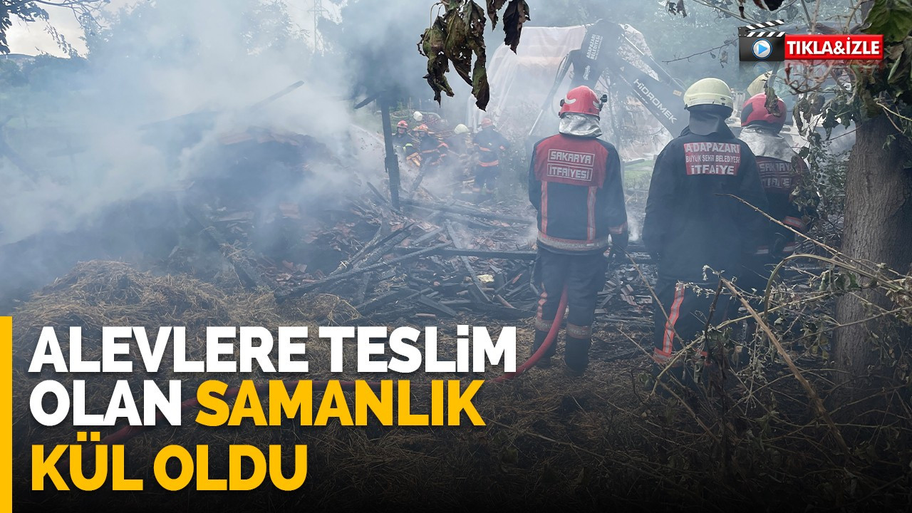 Alevlere teslim olan samanlık kül oldu