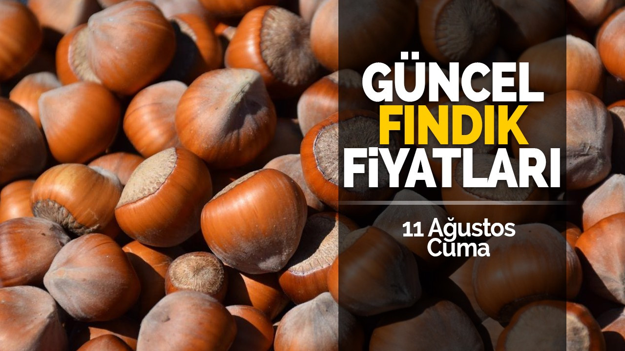 11 Ağustos Cuma Güncel Fındık Fiyatları