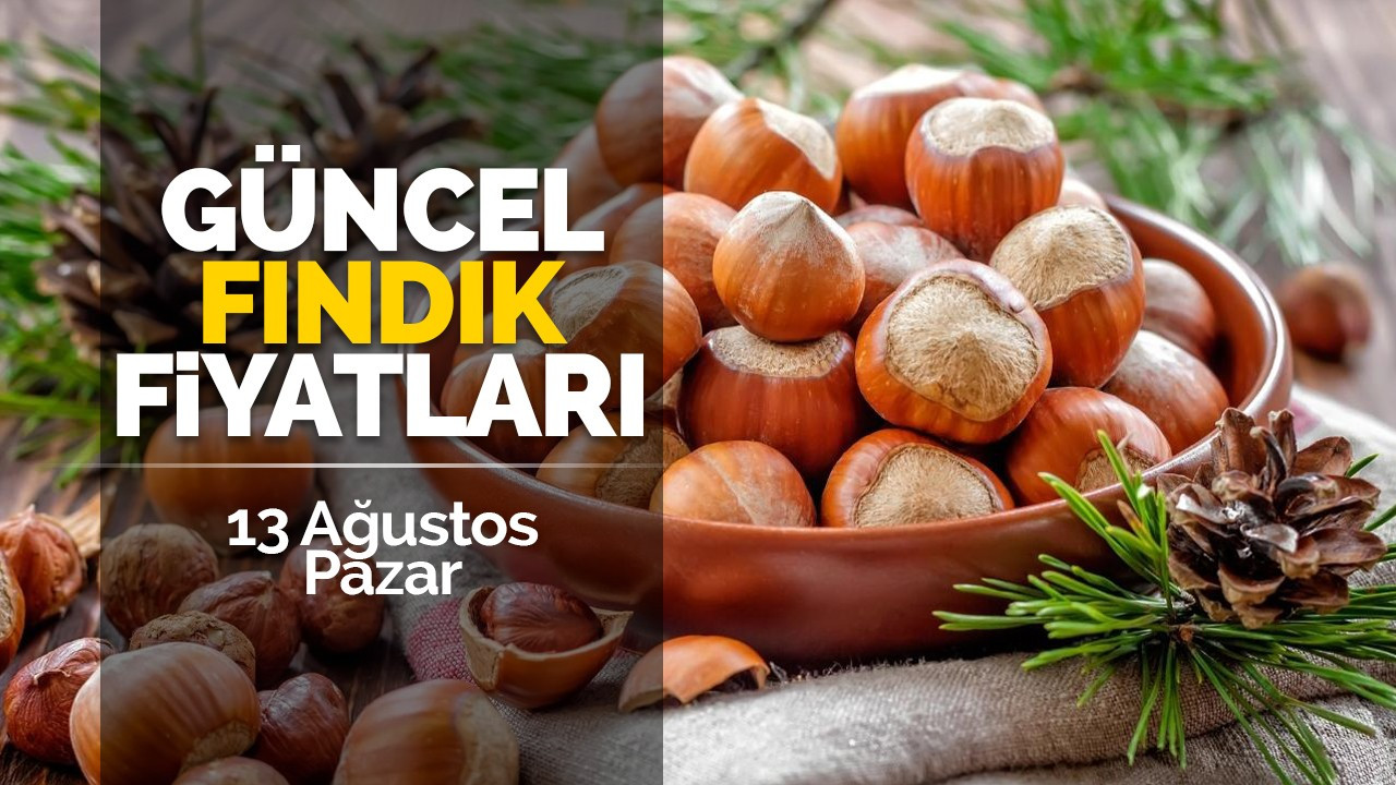 13 Ağustos Pazar Güncel Fındık Fiyatları