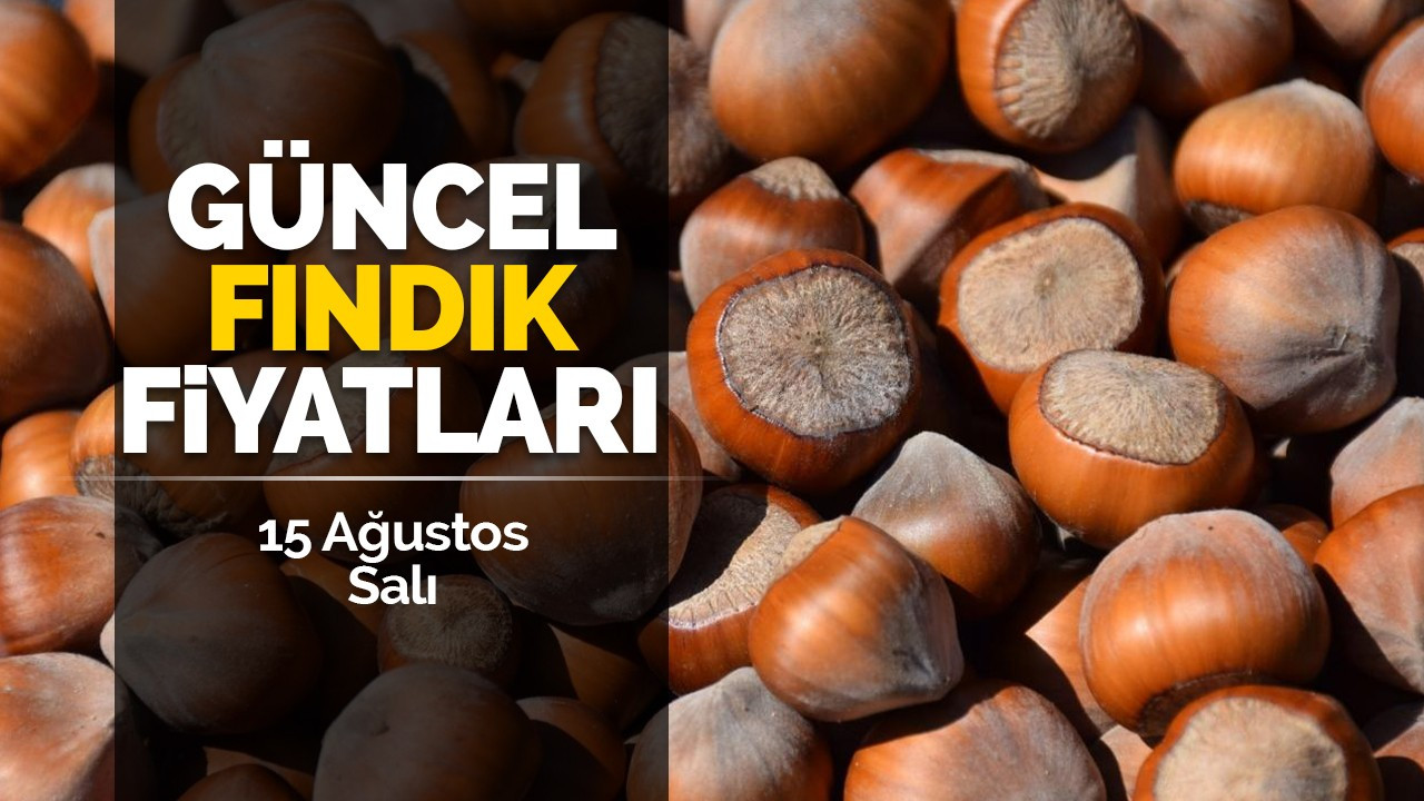 15 Ağustos Salı Güncel Fındık Fiyatları