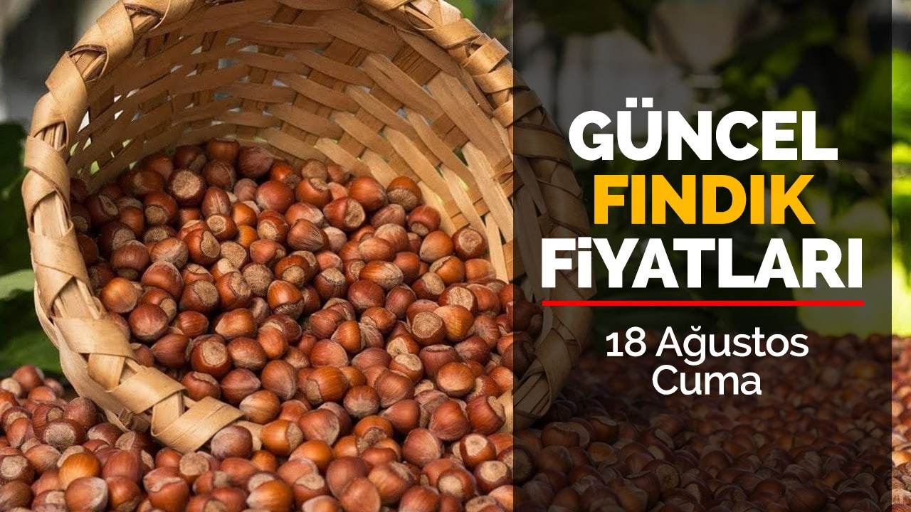 18 Ağustos Cuma Güncel Fındık Fiyatları