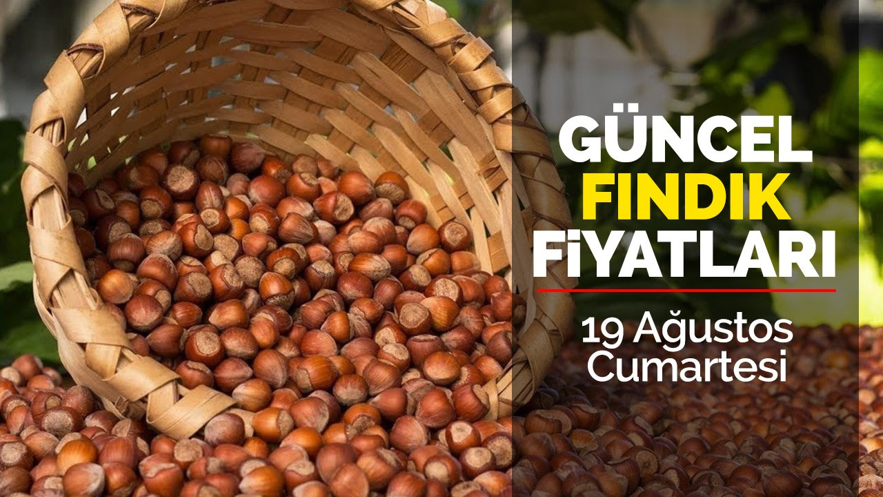 19 Ağustos Cumartesi Güncel Fındık Fiyatları