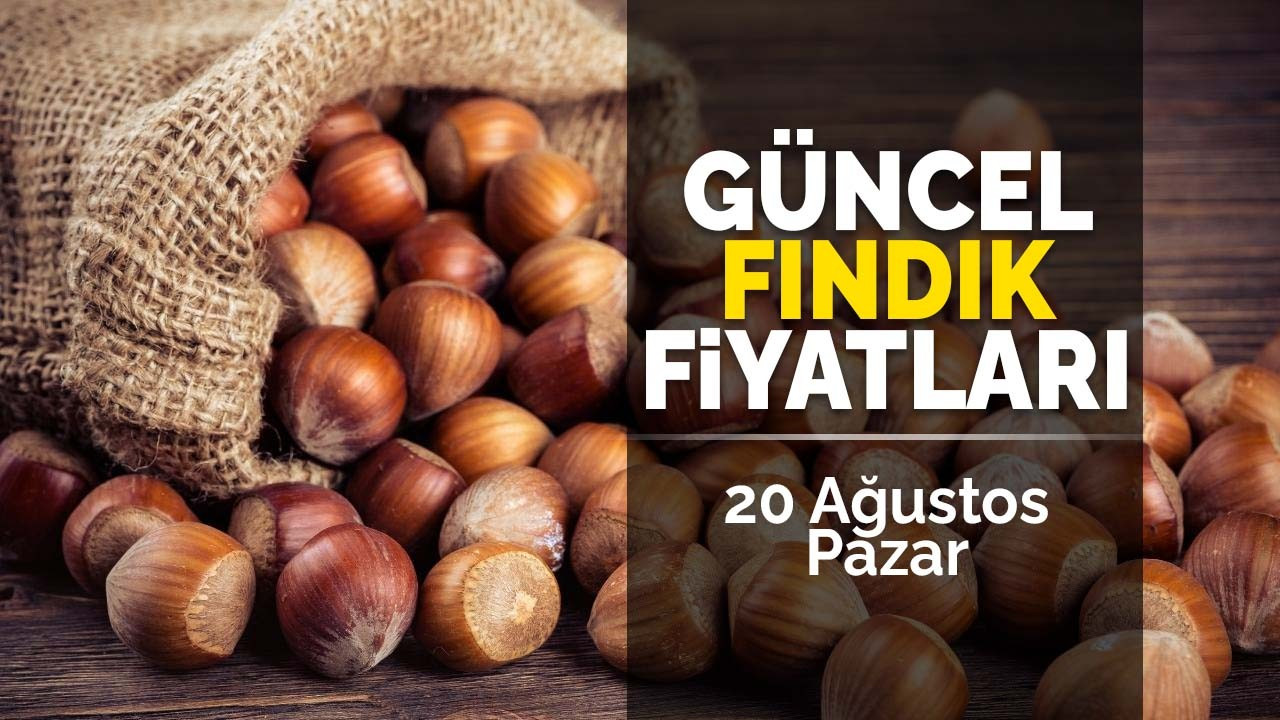 20 Ağustos Pazar Güncel Fındık Fiyatları