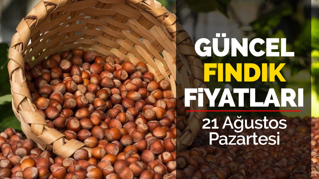 21 Ağustos Pazartesi Güncel Fındık Fiyatları