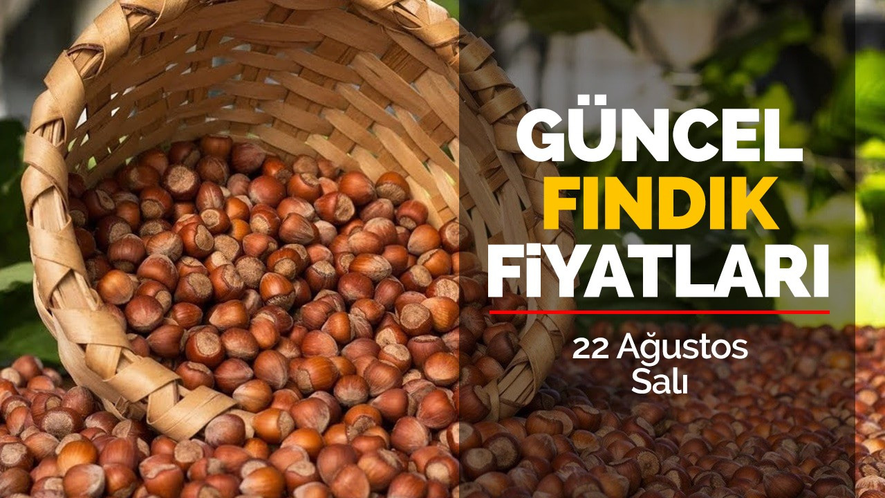 22 Ağustos Salı Güncel Fındık Fiyatları