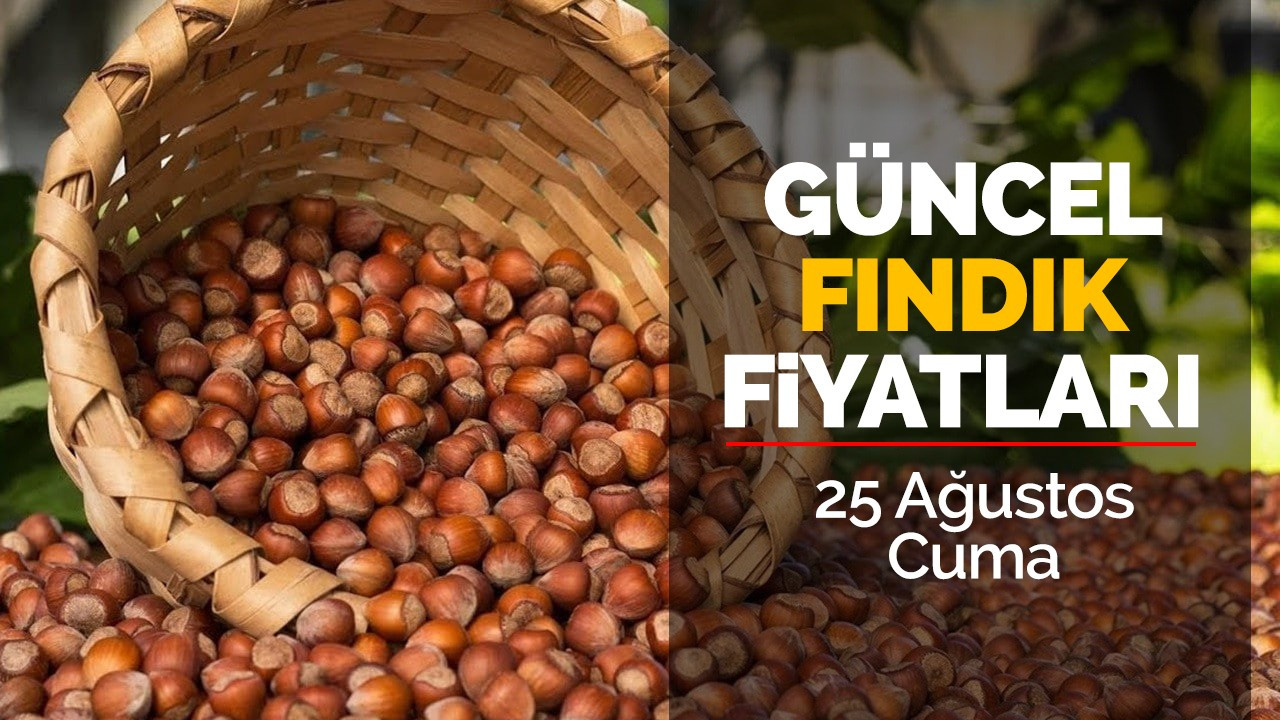 25 Ağustos Cuma Güncel Fındık Fiyatları