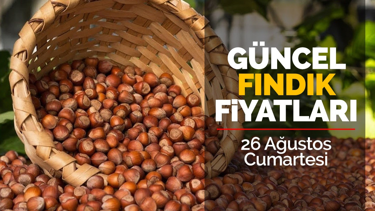 26 Ağustos Cumartesi Güncel Fındık Fiyatları