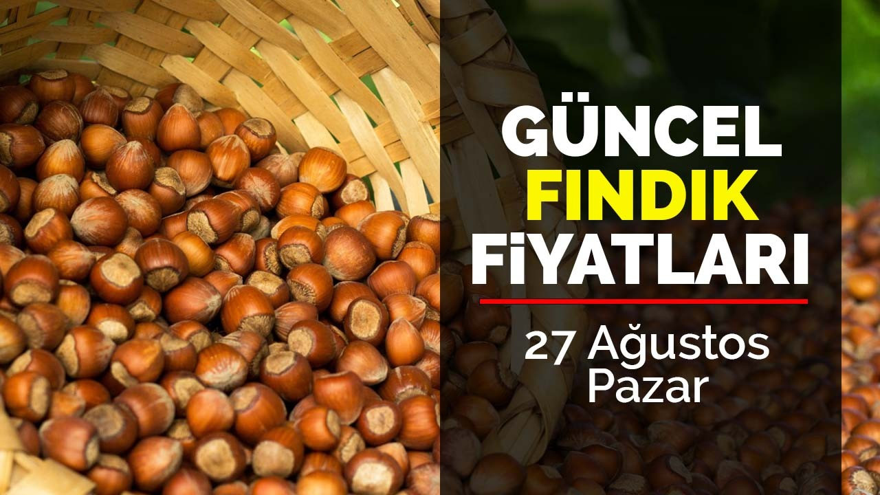 27 Ağustos Pazar güncel fındık fiyatları