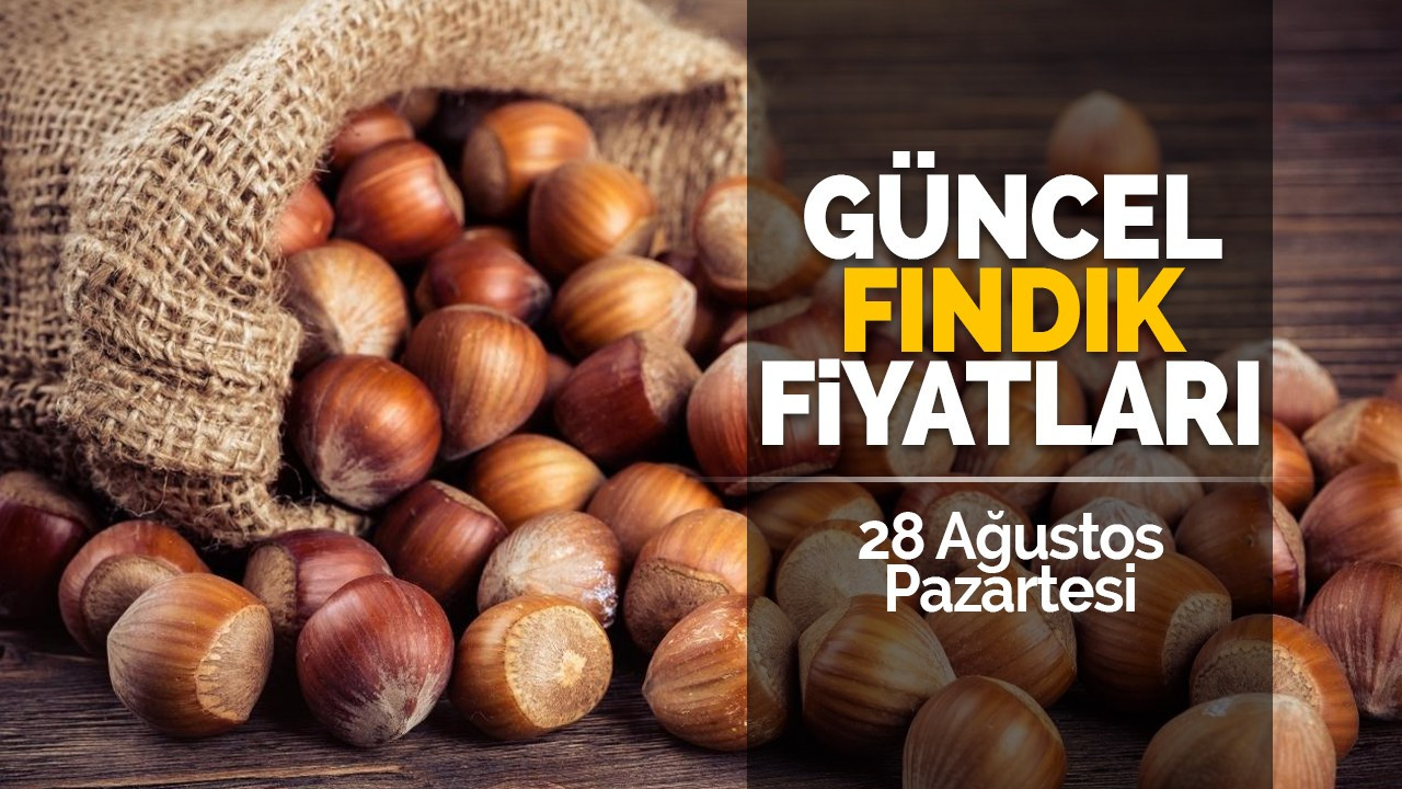 28 Ağustos Pazartesi güncel fındık fiyatları