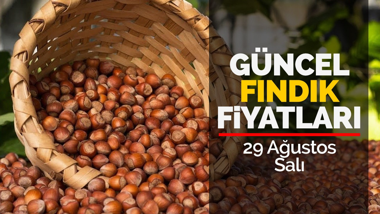 29 Ağustos Salı güncel fındık fiyatları