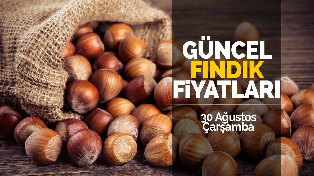 30 Ağustos Çarşamba güncel fındık fiyatları