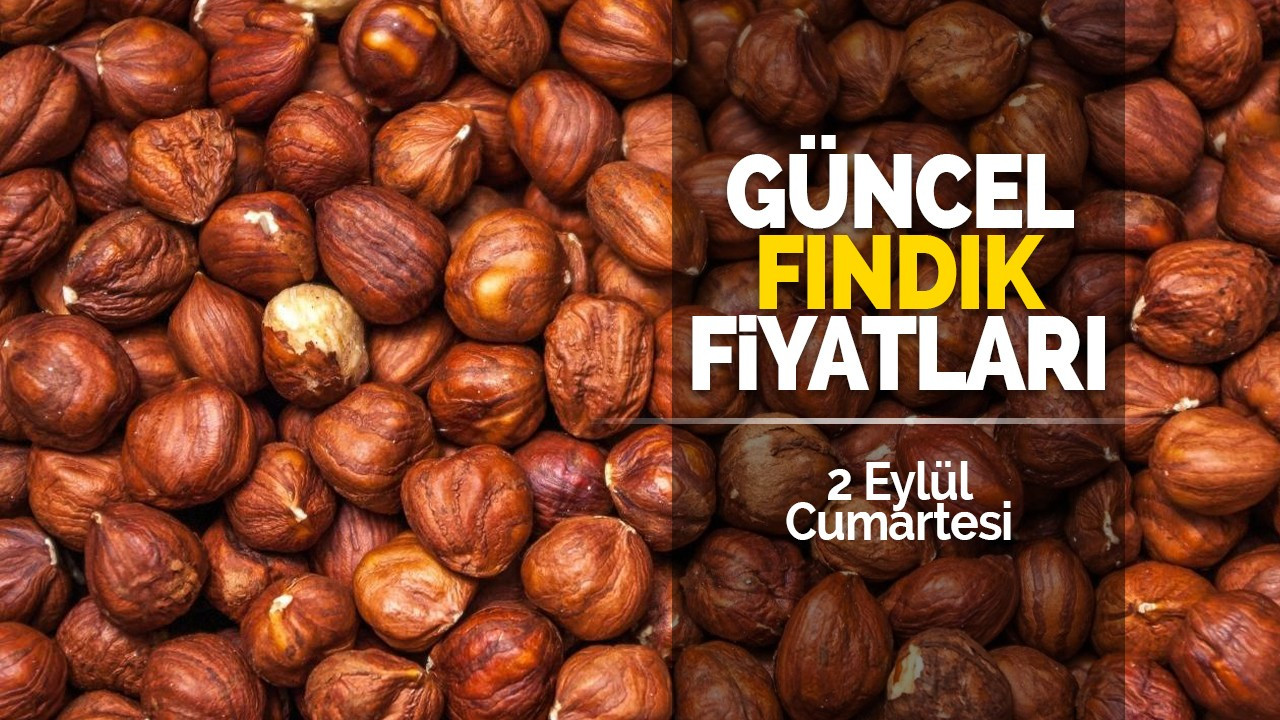 2 Eylül Cumartesi güncel fındık fiyatları