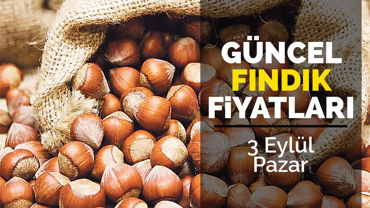 3 Eylül Pazar güncel fındık fiyatları