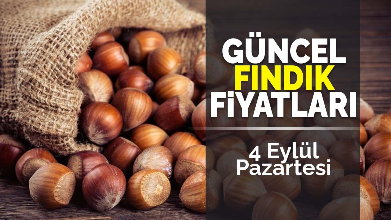 4 Eylül Pazartesi güncel fındık fiyatları