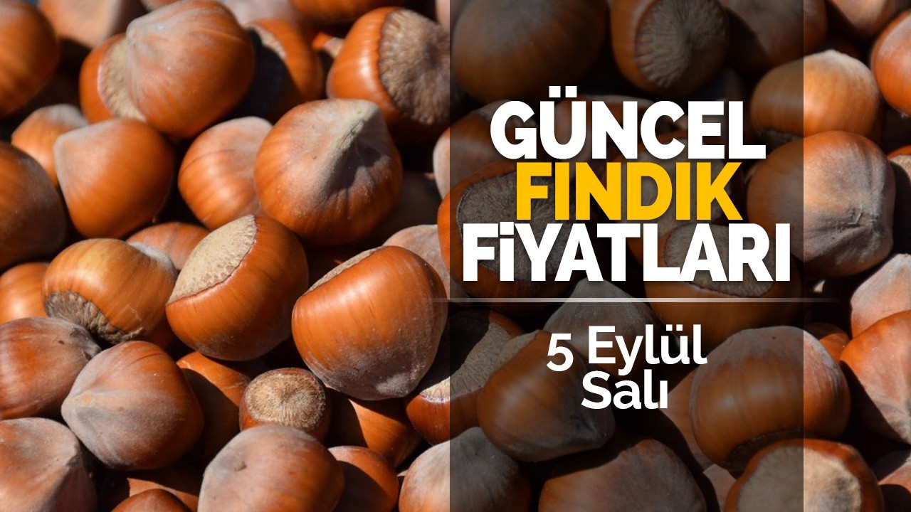 5 Eylül Salı güncel fındık fiyatları