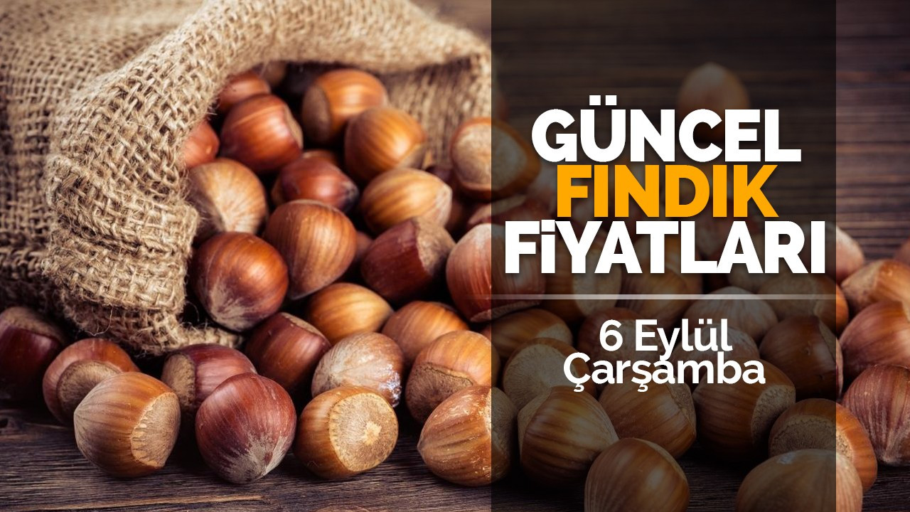 6 Eylül Çarşamba güncel fındık fiyatları