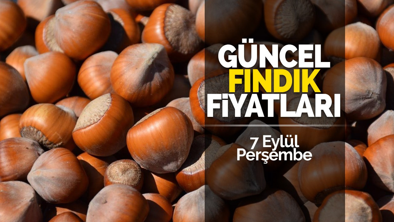 7 Eylül Perşembe güncel fındık fiyatları