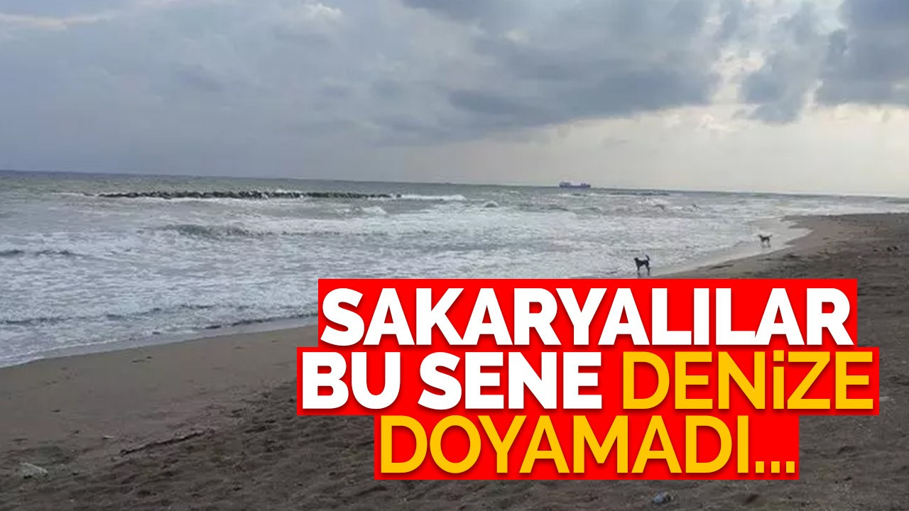 Sakaryalılar bu sene denize doyamadı...