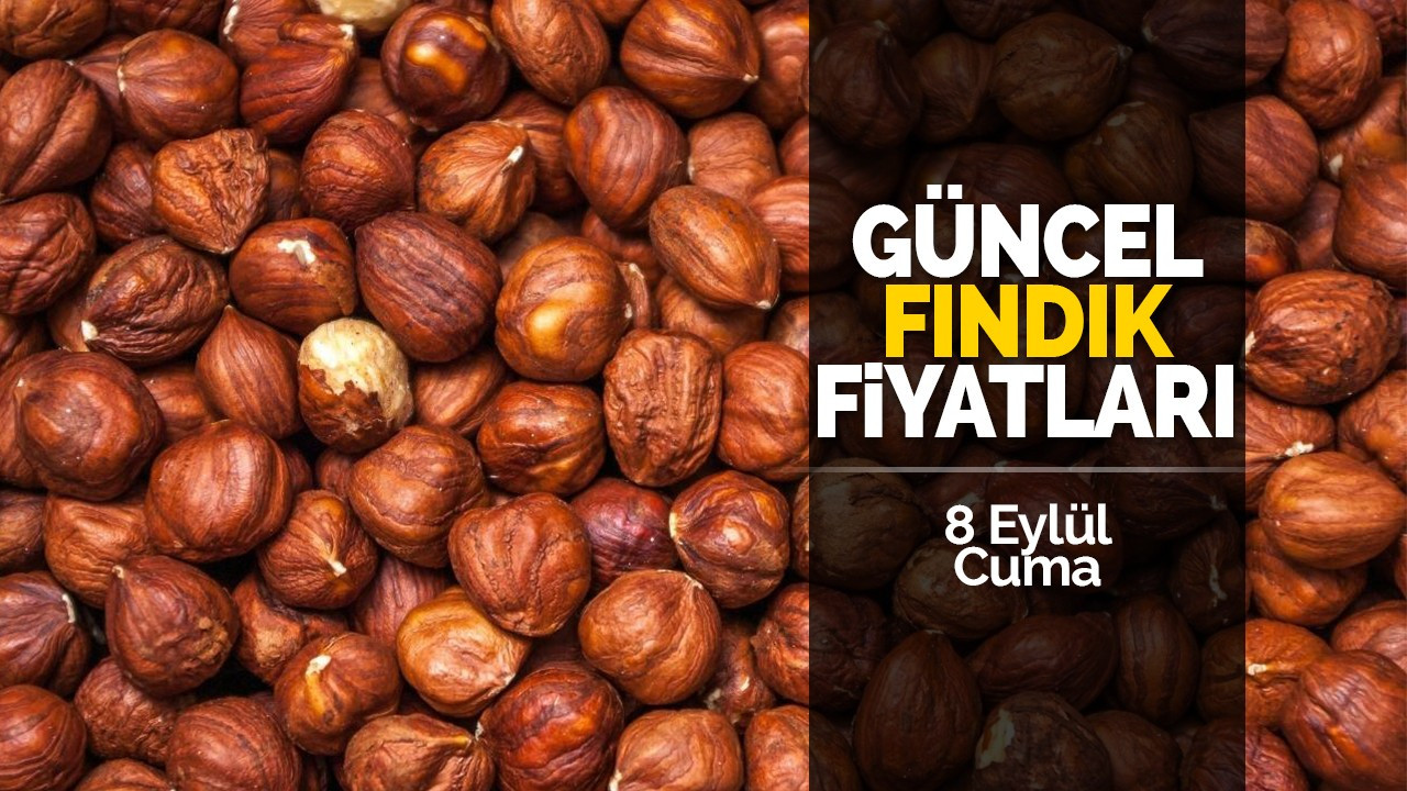 8 Eylül Cuma güncel fındık fiyatları