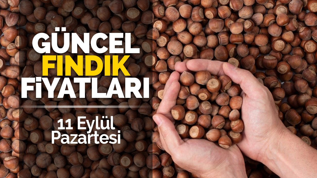 11 Eylül Pazartesi güncel fındık fiyatları