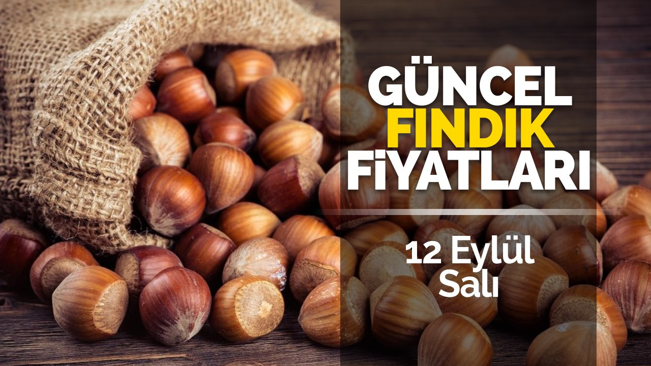 12 Eylül Salı güncel fındık fiyatları