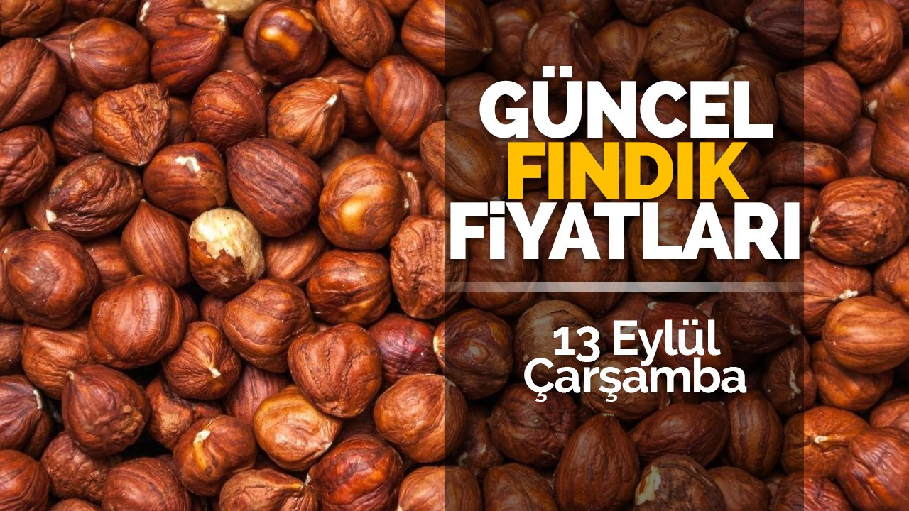 13 Eylül Çarşamba güncel fındık fiyatları