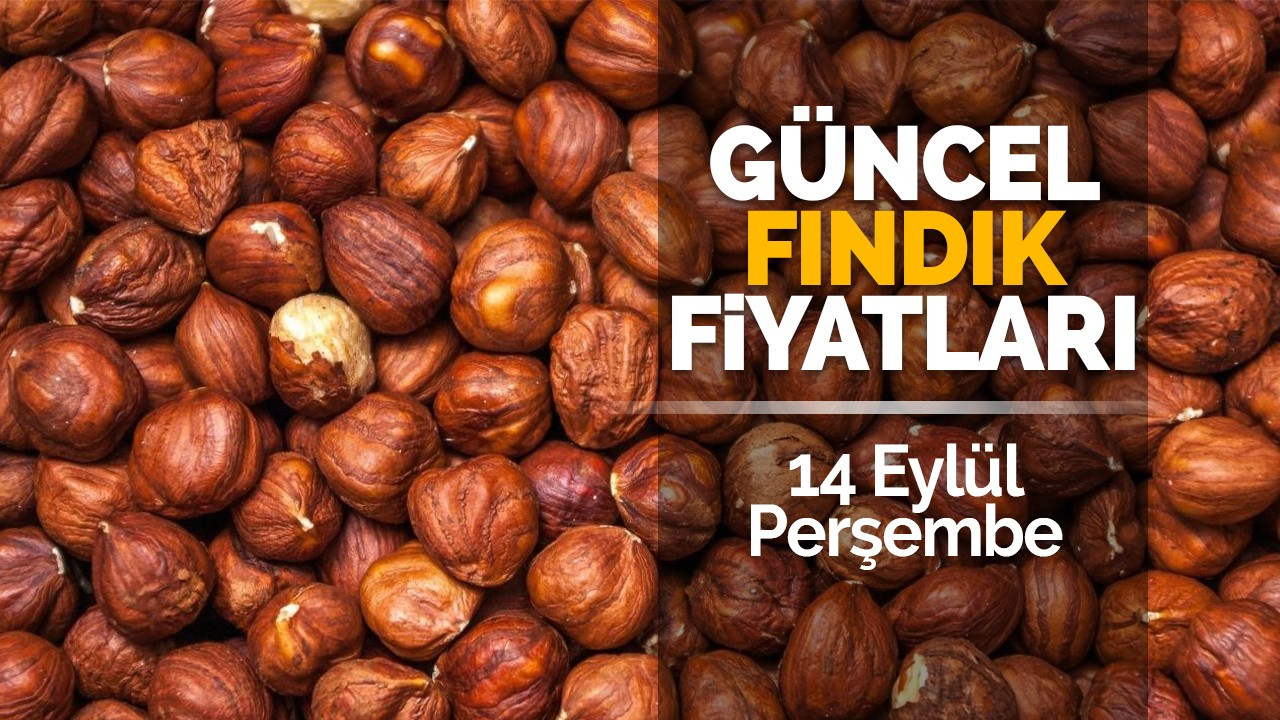 14 Eylül Perşembe güncel fındık fiyatları