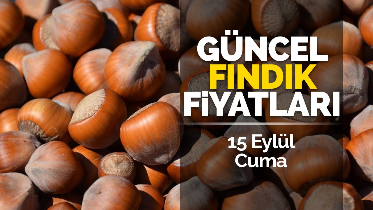 15 Eylül Cuma güncel fındık fiyatları