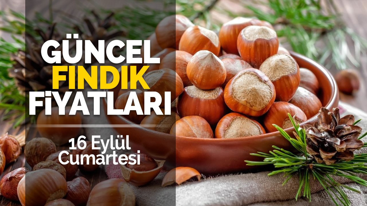 16 Eylül Cumartesi güncel fındık fiyatları