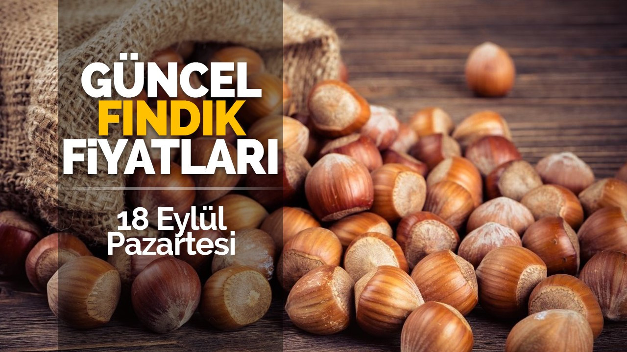 18 Eylül Pazartesi güncel fındık fiyatları