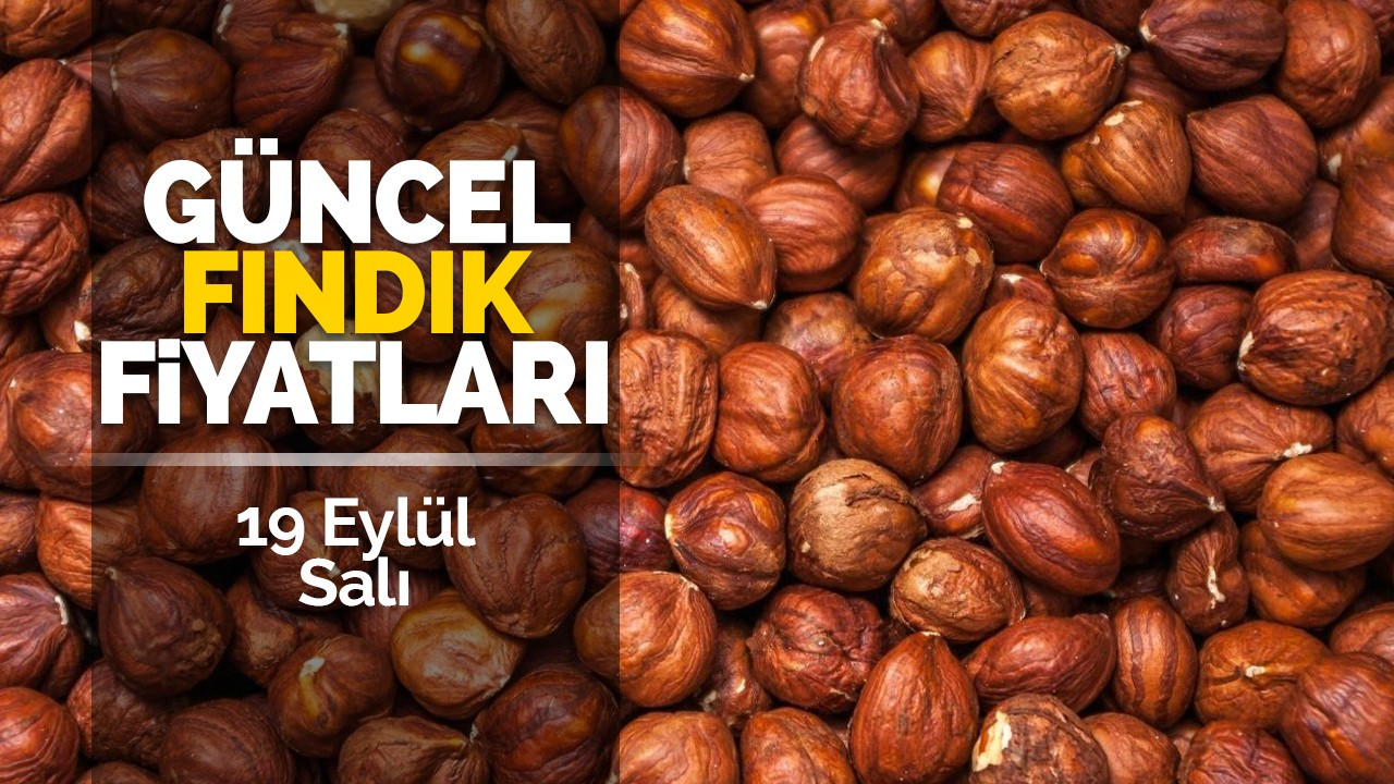 19 Eylül Salı güncel fındık fiyatları